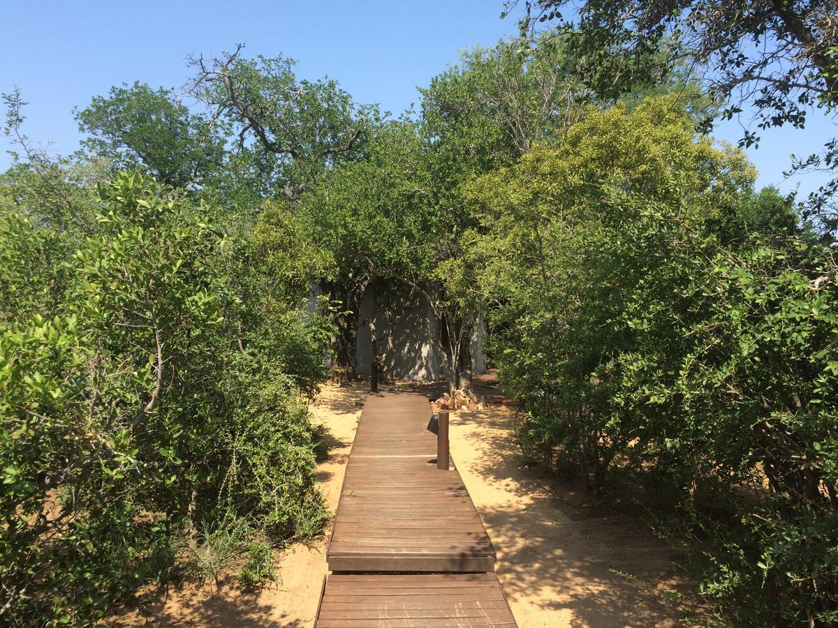 Leadwood Lodge Hoedspruit Eksteriør billede